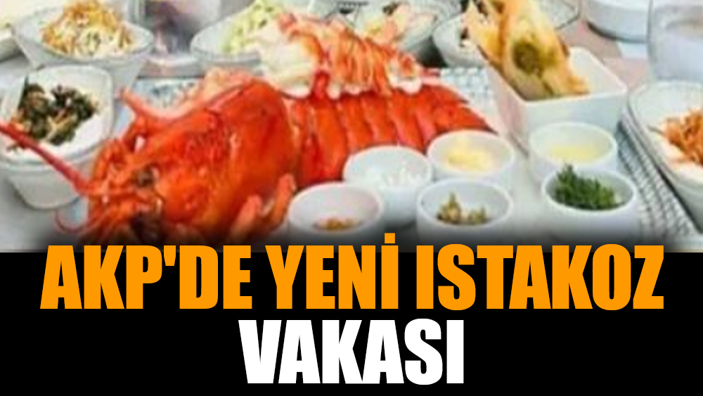 AKP'de yeni ıstakoz vakası