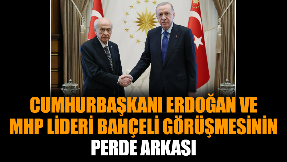 Cumhurbaşkanı Erdoğan ve MHP lideri Bahçeli görüşmesinin perde arkası