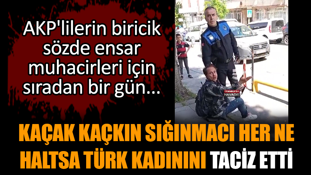Kaçak kaçkın sığınmacı her ne haltsa Türk kadınını taciz etti