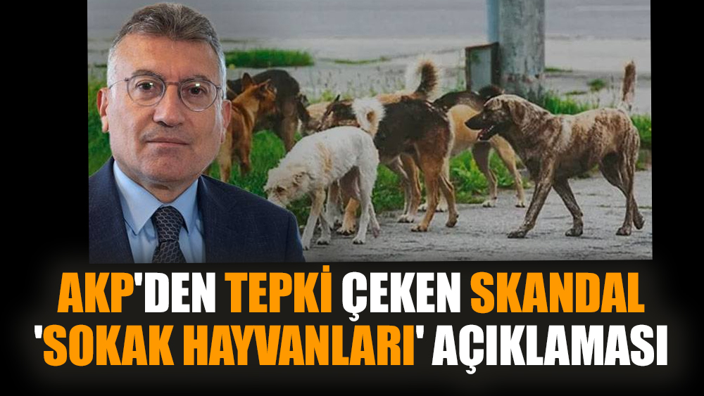 AKP'den tepki çeken skandal 'sokak hayvanları' açıklaması