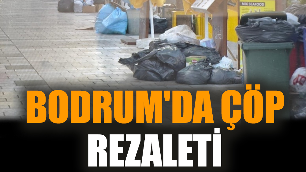 Bodrum'da çöp rezaleti