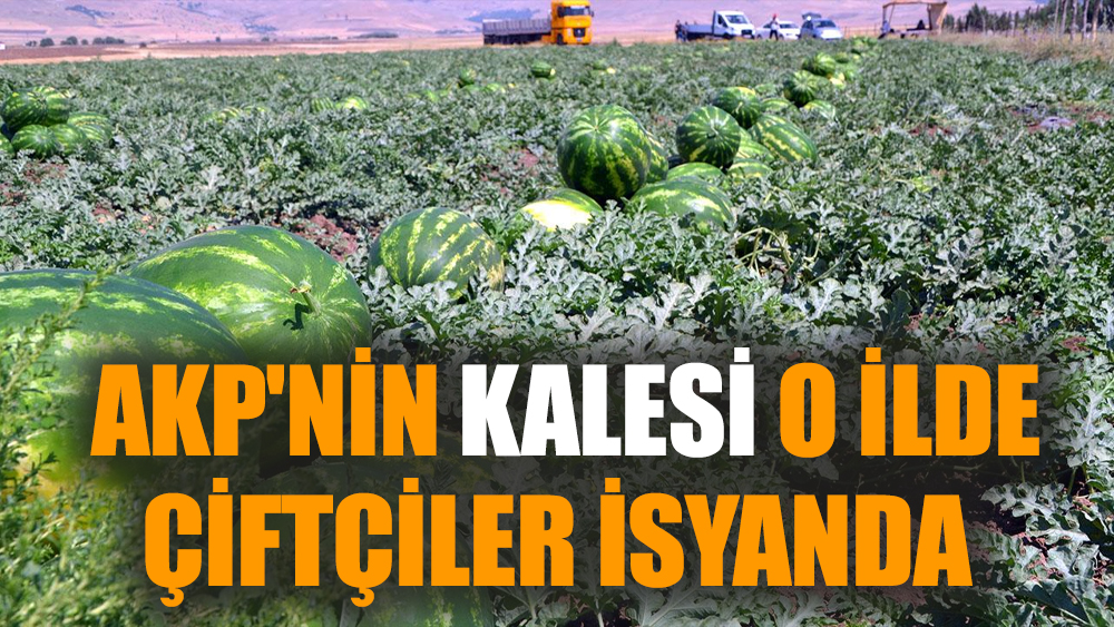 AKP'nin kalesi o ilde çiftçiler isyanda