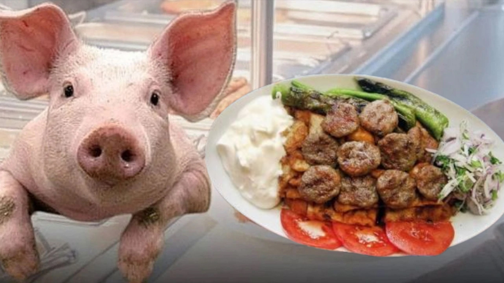 CHP Meclis'te sordu: Domuz eti satan köfteciyi kim koruyor?