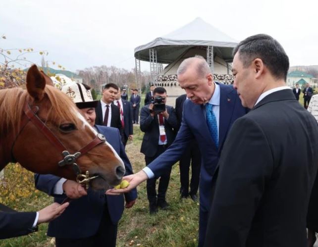 Sadır Caparov Erdoğan'a at hediye etti