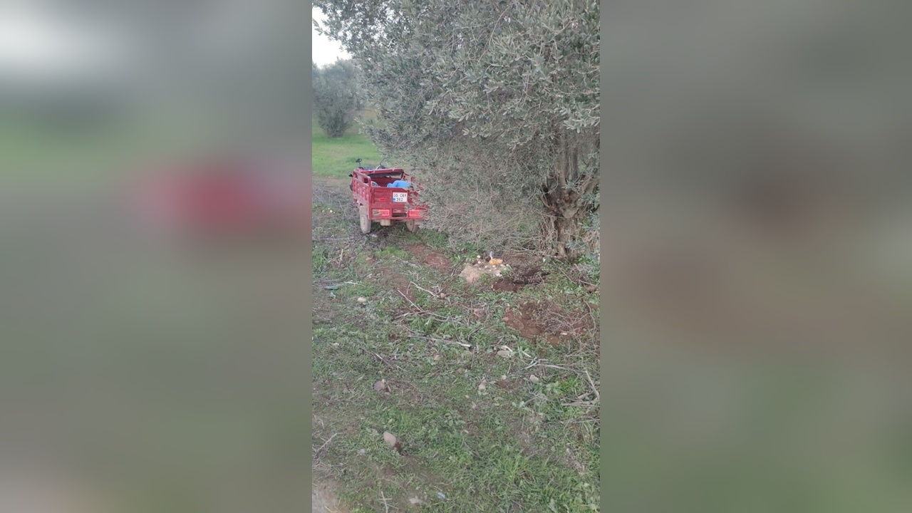 İzmir'de Motosiklet Kazası: İki Kardeş Hayatını Kaybetti