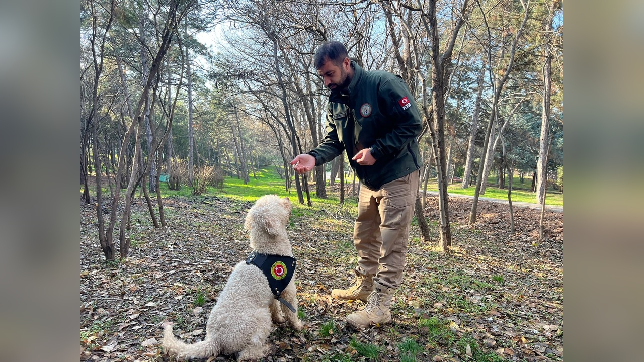 Dedektör Köpekleri ile Uyuşturucu Operasyonu: 4,1 Ton Ele Geçirildi