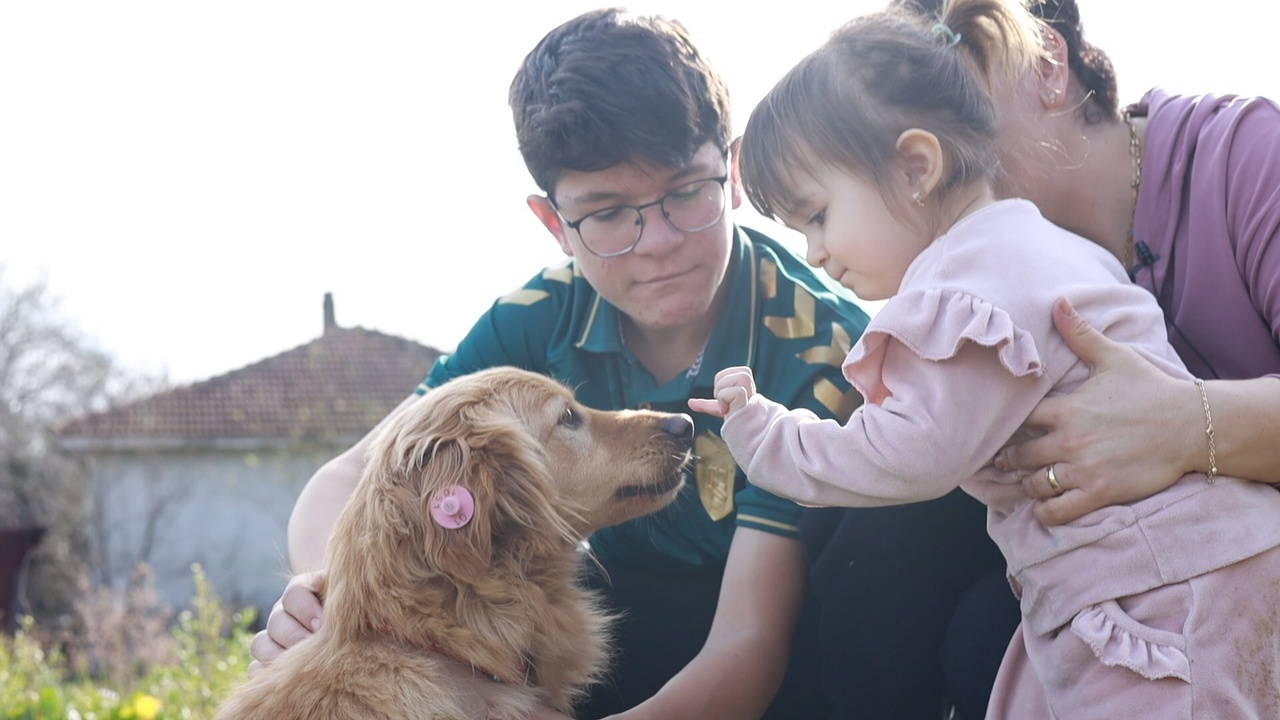 Aile İçi Değişim: 'Alex' Sosyal Medyayı Geride Bıraktı