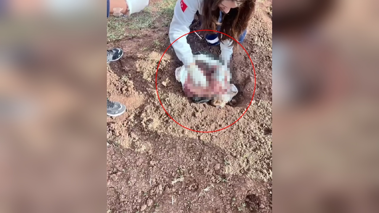 Yeni Doğmuş Bebek Cesedi Bulundu: Anne Tutuklandı