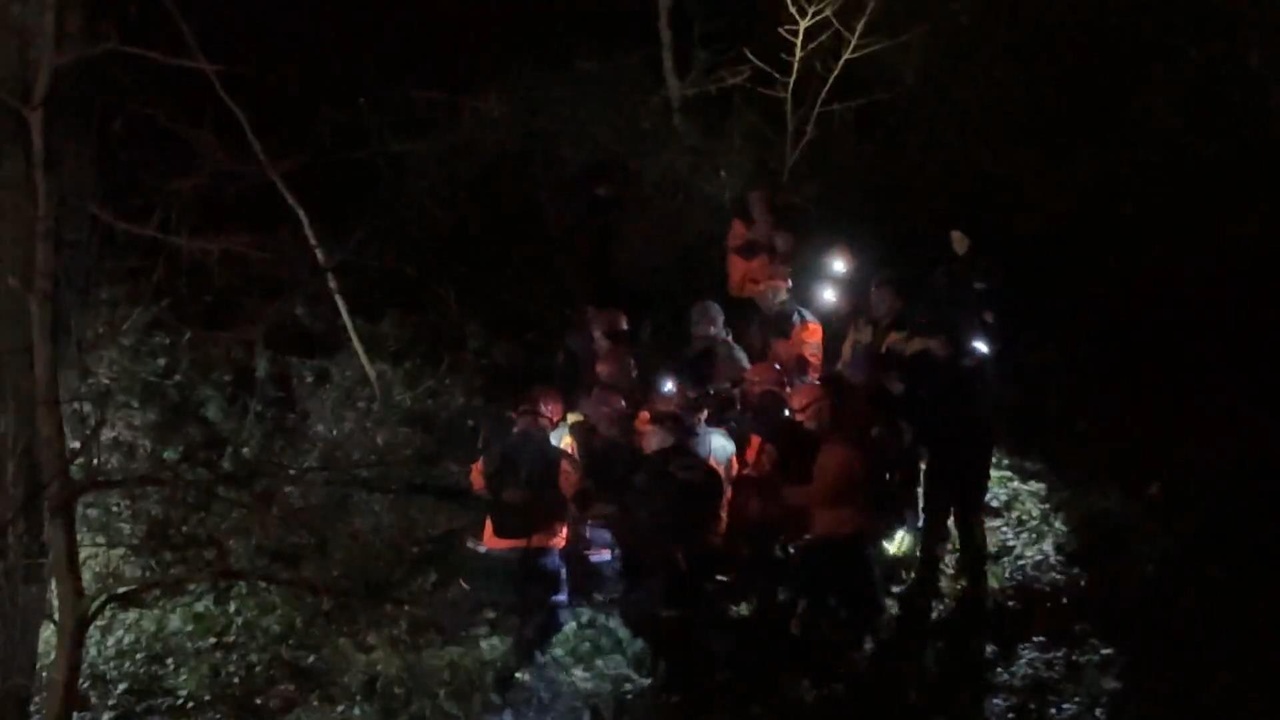 Kayıp Ece Gürel, Belgrad Ormanı'nda Bulundu