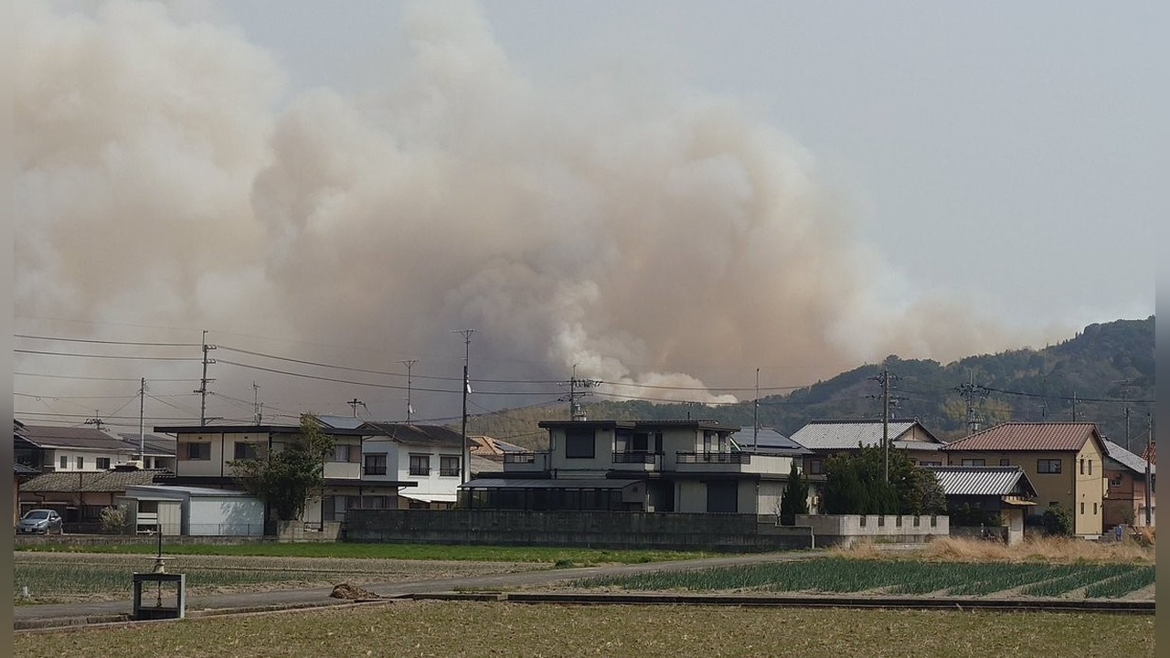 Japonya'da Orman Yangınları Sürüyor: 514 Hektar Alan Zarar Gördü