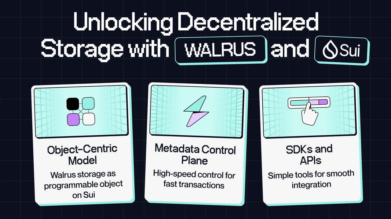 Walrus ile Programlanabilir Depolama Dönemi Başladı