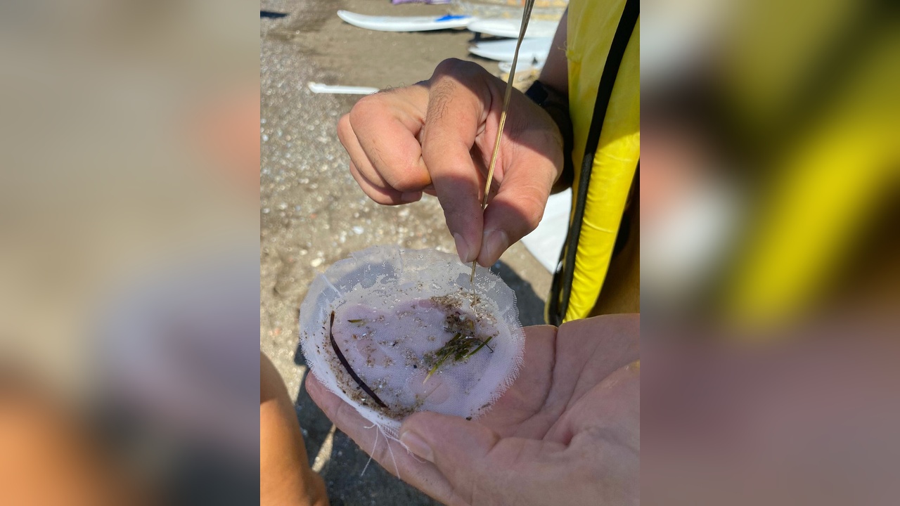 Datça-Bozburun'da Mikroplastik Tehlikesi