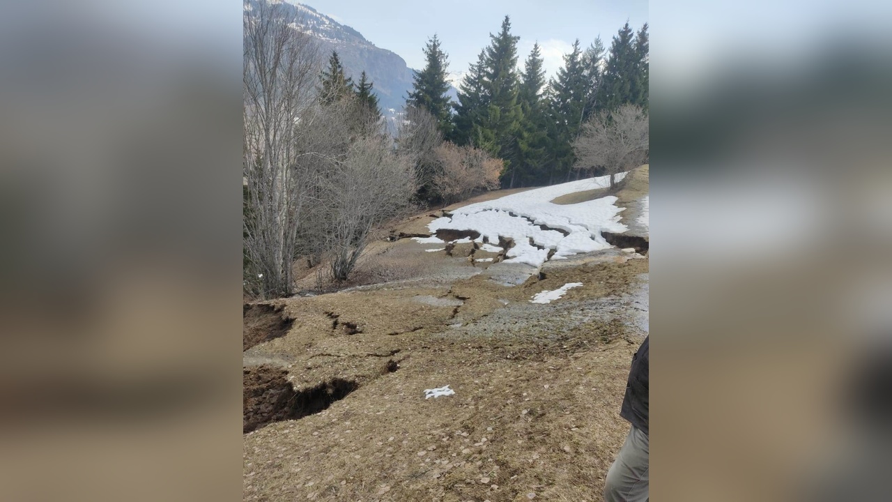 Artvin Ormanında Heyelan Anları Kameralara Yansıdı