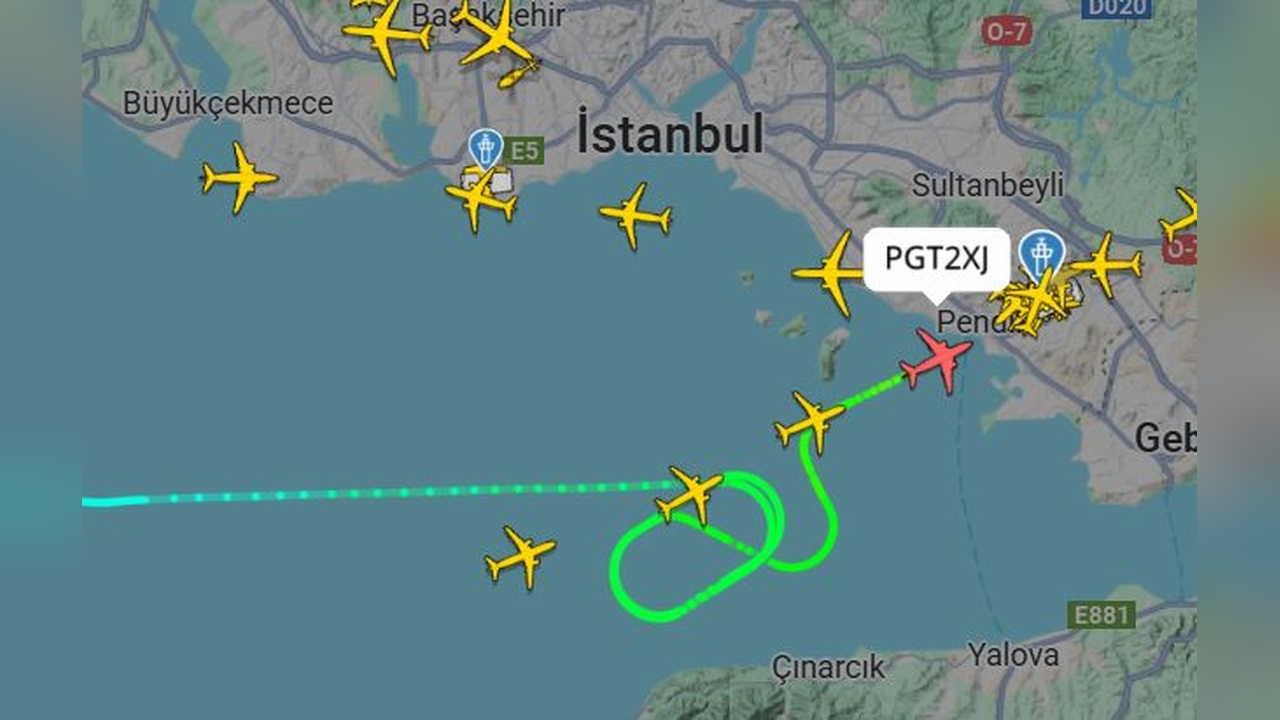 Pilot, Uçak Kazasında Kuş Çarpması İhtimalini Açıkladı