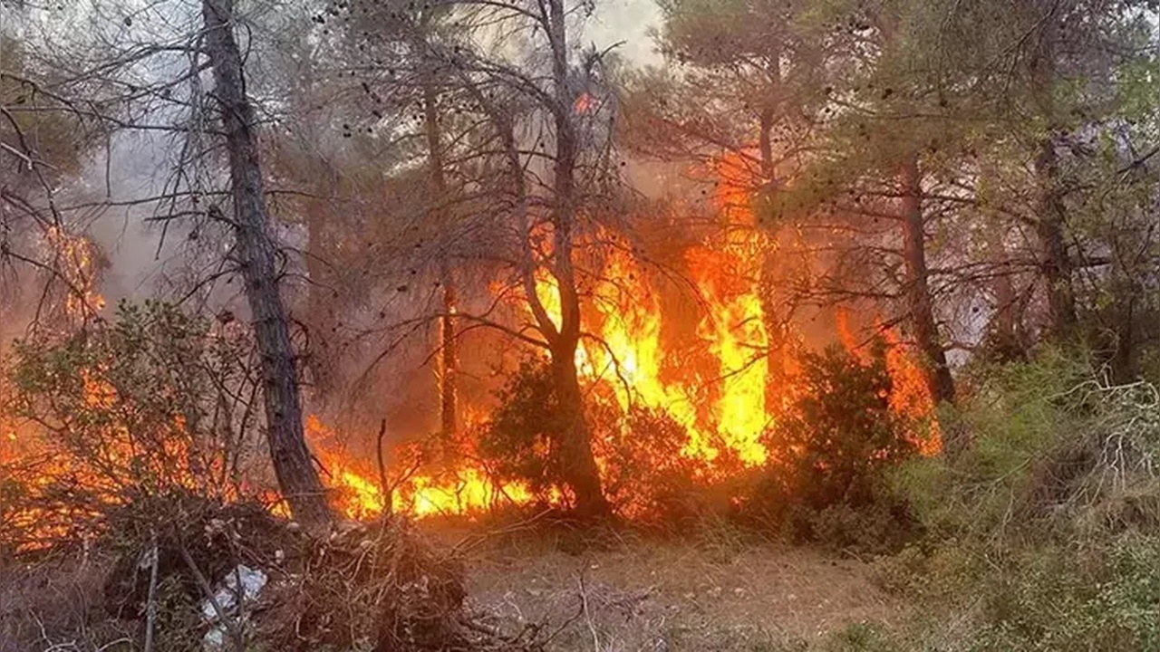 Nepal'de Orman Yangını Felaketi: Dört Kişi Hayatını Kaybetti