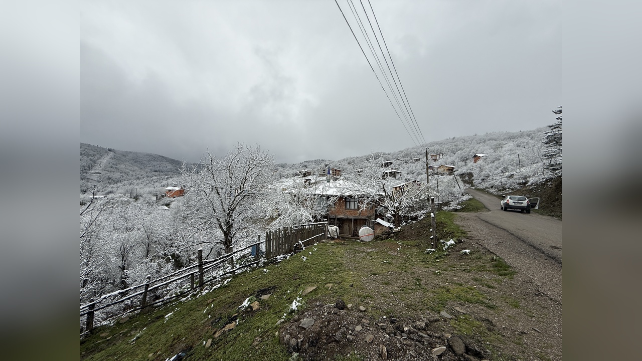 Bartın'da Mevsimler İç İçe Geçti
