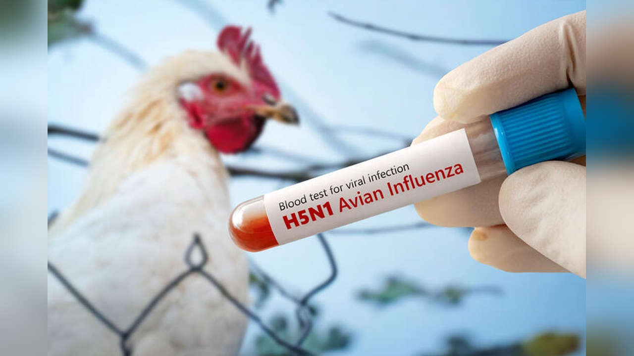 Meksika'da H5N1 Virüsü Nedeniyle İlk Ölüm Gerçekleşti
