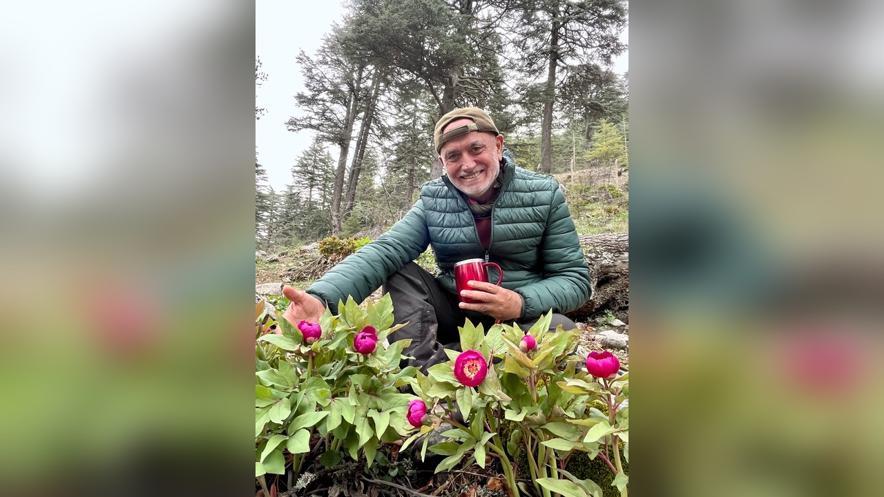 Toros Dağları'nda Şakayık Mevsimi Başladı