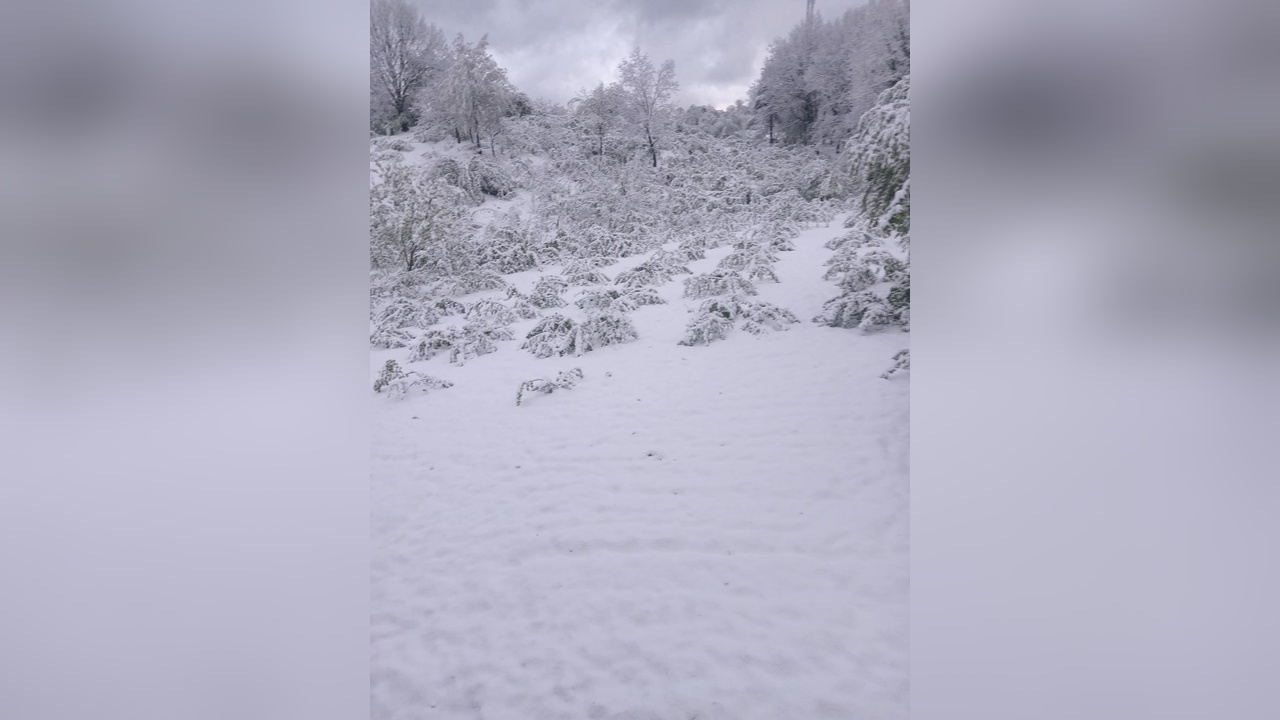 Zonguldak Alaplı'da Kar Yağışı Etkili Oldu