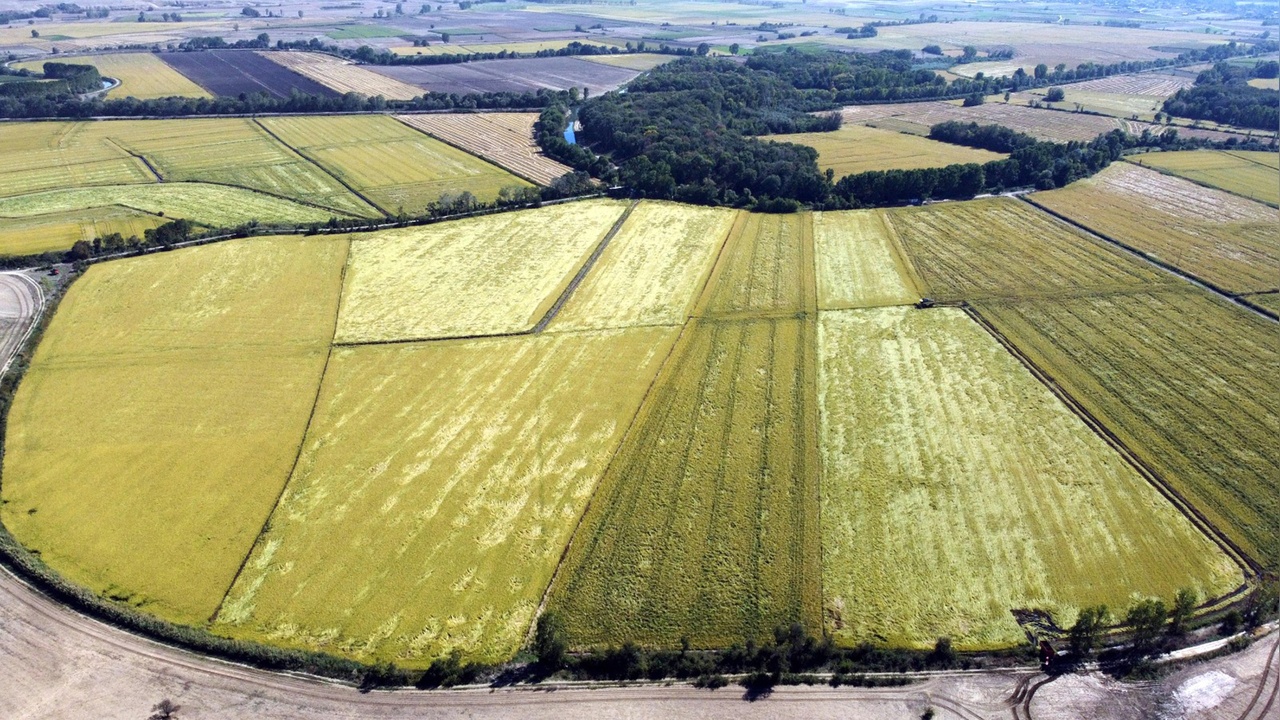 Tunca Nehri'nde Yatak Temizliği ve Su Biriktirme Çalışmaları Devam Ediyor
