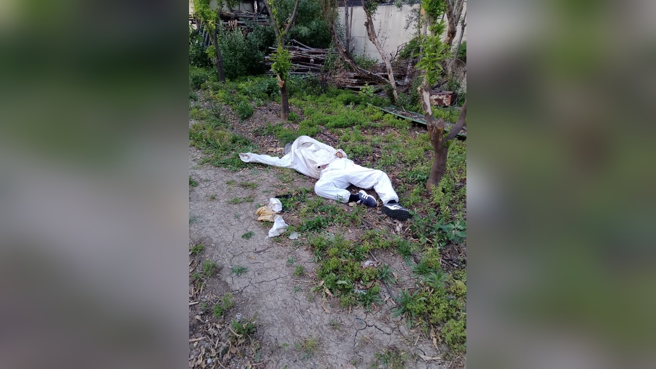 Adana'da Arı Sokması Sonucu Bir Arıcı Hayatını Kaybetti