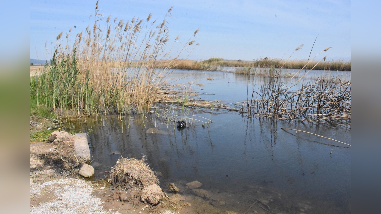 Gediz Nehri Kirlilikte Kritik Seviyeye Ulaştı