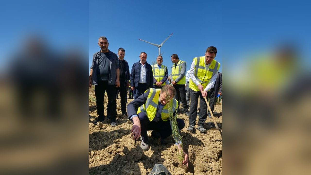 Çanakkale'de 100 Bin Fidanlık Bakanlık Hatıra Ormanı Kuruldu
