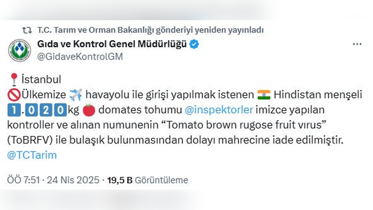 Virüslü Domates Tohumu İadesi Gündemde