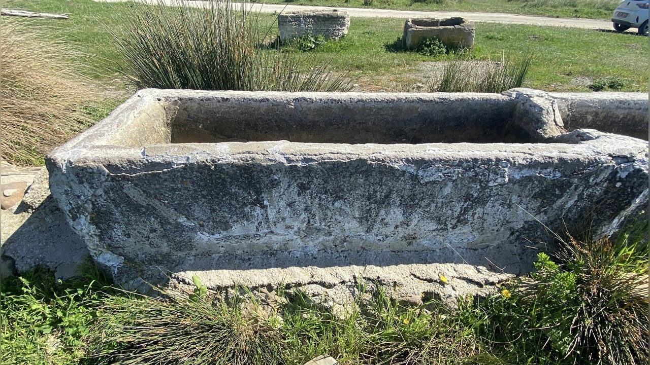 Çanakkale’de İngiliz ve Fransız Arkeologlar Eserleri Ülkelerine Taşıdı