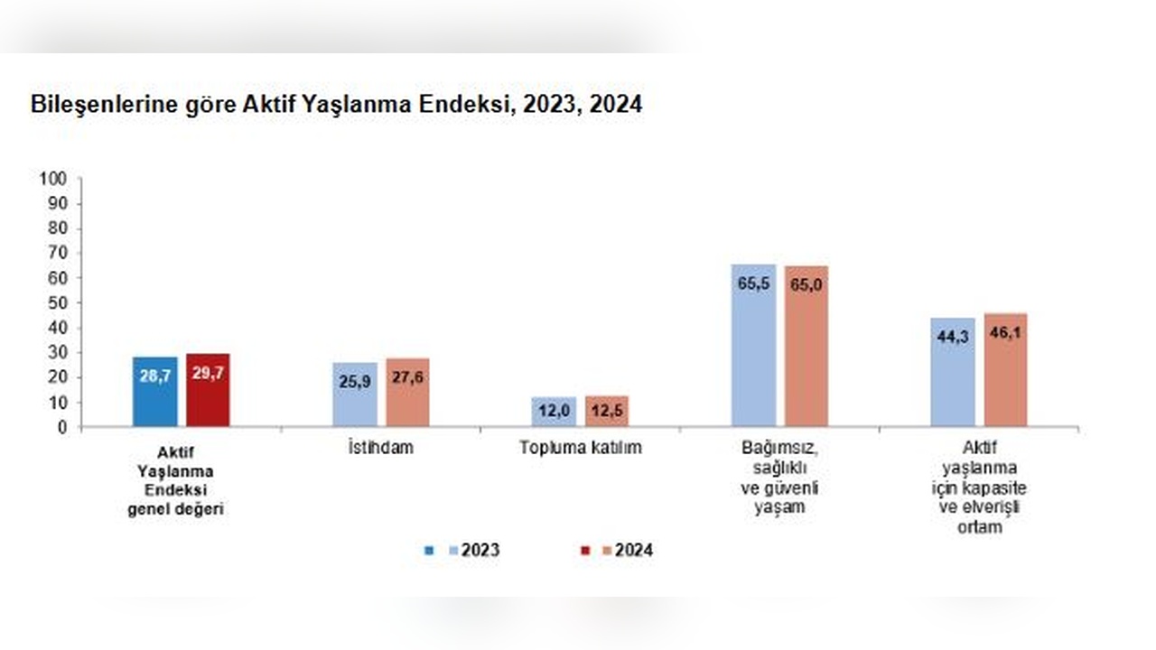 Türkiye'nin Aktif Yaşlanma Endeksi 29,7 Seviyesine Ulaştı