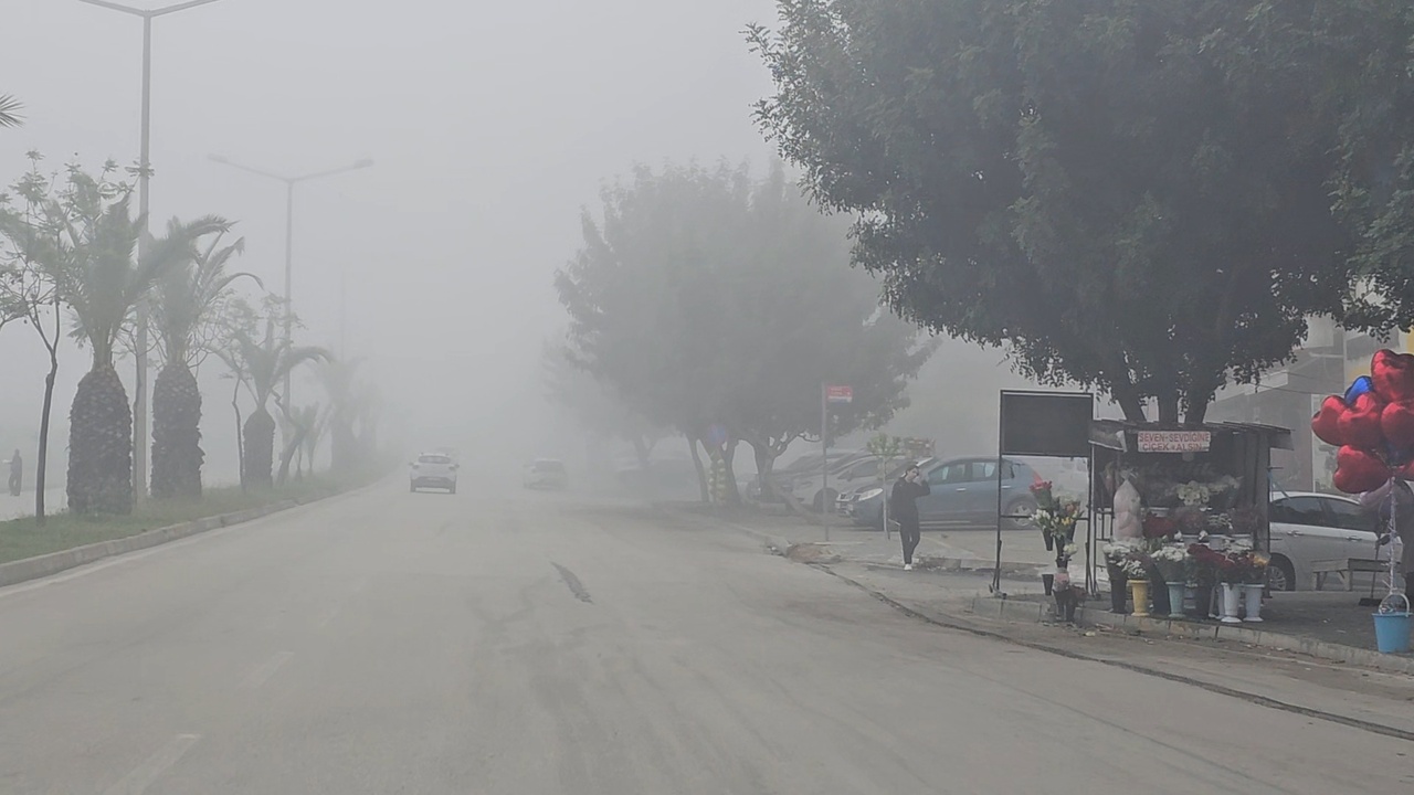 Adana'da Yoğun Sis Hayatı Olumsuz Etkiledi
