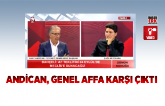  İYİ Parti'li Andican, genel affa karşı çıktı