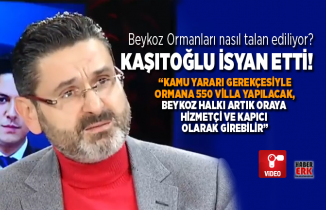 Kaşıtoğlu isyan etti!  “Kamu yararı gerekçesiyle  ormana 550 villa yapılacak, Beykoz halkı artık oraya  hizmetçi ve kapıcı  olarak girebilir”