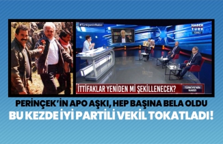 Perinçek’in Apo aşkı, hep başına bela oldu, bu kezde İYİ Partili vekil tokatladı!