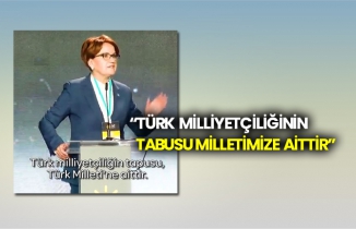 Akşener: “Türk Milliyetçiliğinin tabusu milletimize aittir”