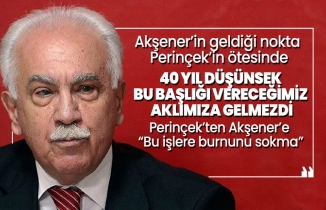 Perinçek’ten Akşener’e  “Bu işlere burnunu sokma”