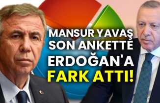 Mansur Yavaş son ankette Erdoğan'a fark attı!