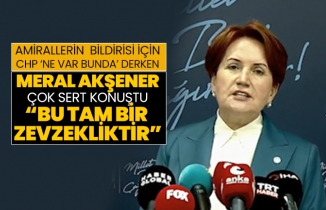 Amirallerin  Bildirisi için CHP ‘Ne var bunda’ derken Meral Akşener çok sert konuştu “Bu tam bir  zevzekliktir”