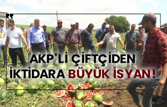AKP'li çiftçiden iktidara büyük isyan!
