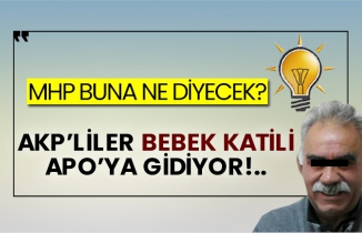 MHP buna ne diyecek? AKP’liler bebek katili Apo’ya gidiyor!..