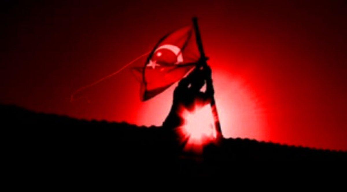 Türkçülük ve İdealist Kişioğlu