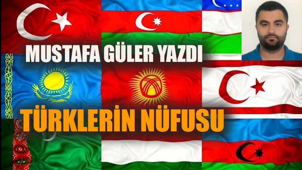 Türklerin Demografisi