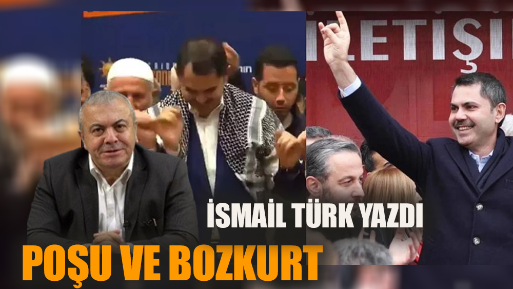 Poşu ve bozkurt