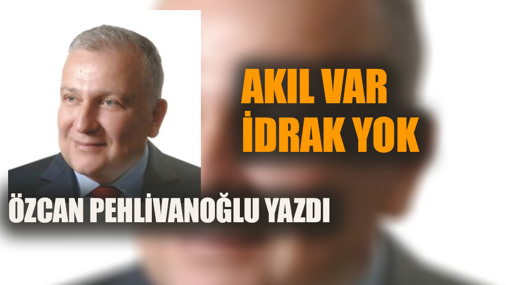 Akıl var idrak yok!..