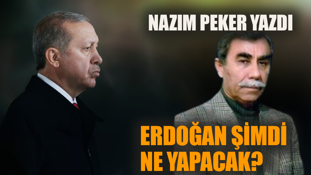 Erdoğan şimdi ne yapacak