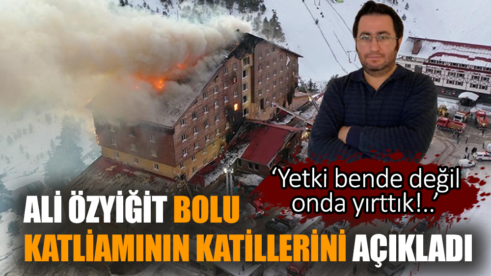 Bolu'da katledilen canlar!..