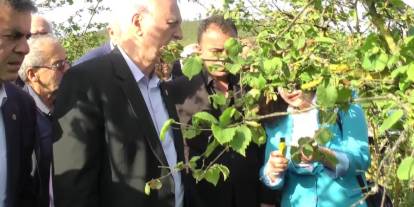TZOB Başkanı Bayraktar: Akçakoca'da fındık bahçelerinde don zararı yüzde 50'nin üzerinde
