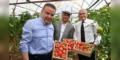 Foodfest Antalya Gastronomi Festivali, Kumluca'da Domates Hasadıyla Başladı
