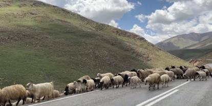Çatak'ta Besici Sarıbulak: 'Hayvancılık Yapmak Her Geçen Gün Zorlaşıyor'