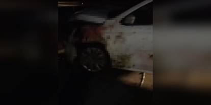 Elazığ'da otomobilin koyun sürüsüne çarpması sonucu 15 koyun telef oldu